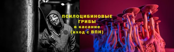 соль ск Белокуриха