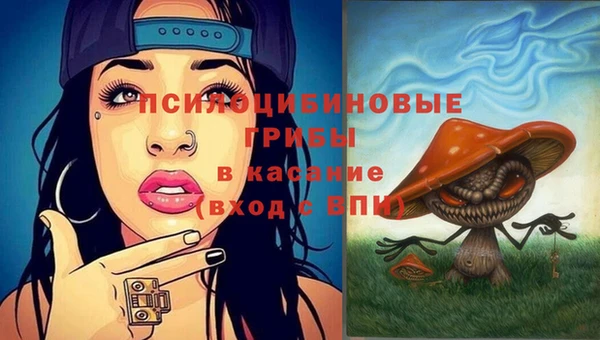 марки lsd Богданович
